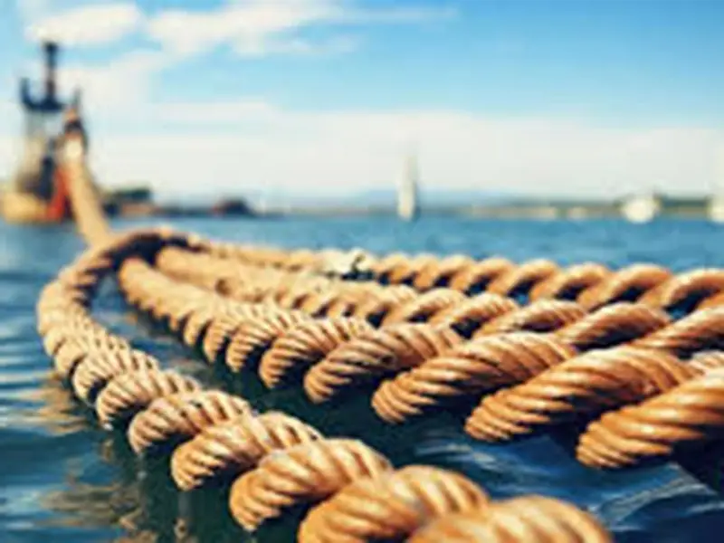Mooring rope (11)