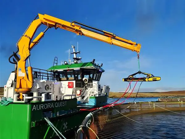 Electrical Hydraulic Knuckle Boom Crane Marine Crane with ABS BV CCS CE Certification