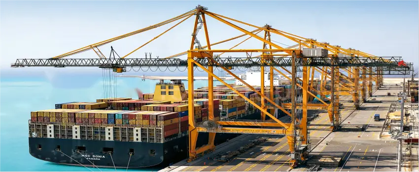 Marine Crane 2.png