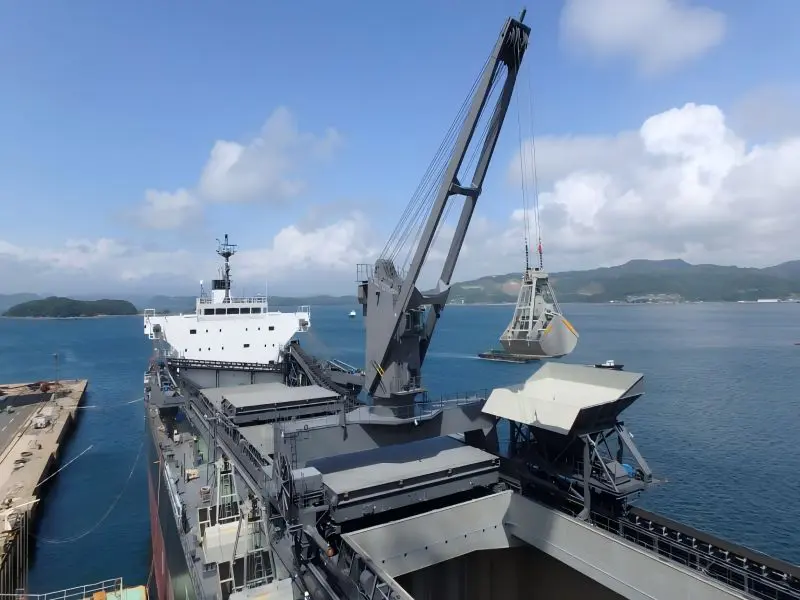 fixed stiff boom crane (3)